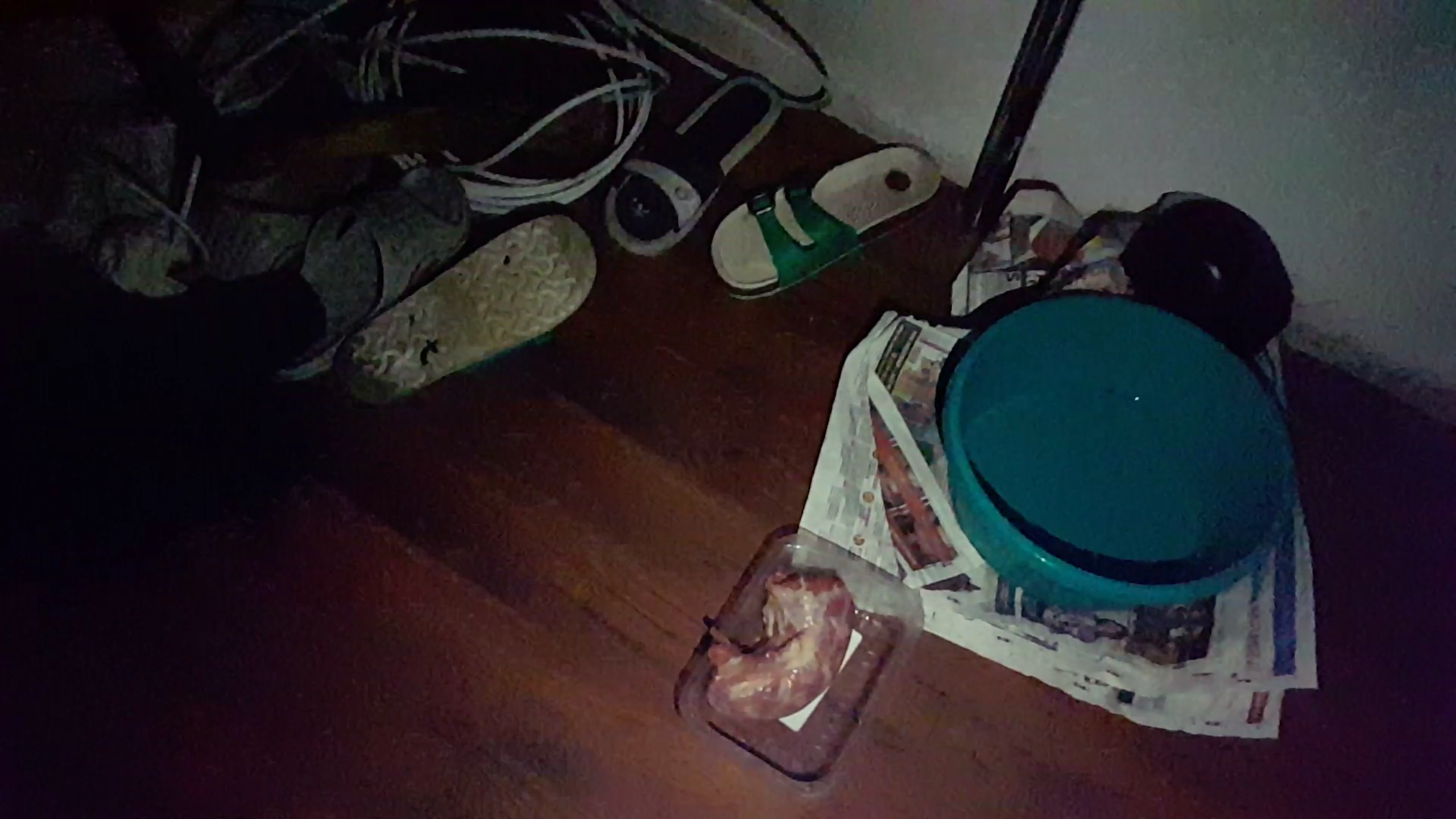 świeży mocz na podłodze w pomoeszczeniu, gdzie trzymany był Jaro.